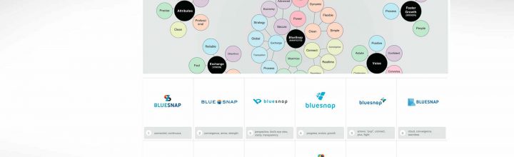 Blue Snap: Logo Development